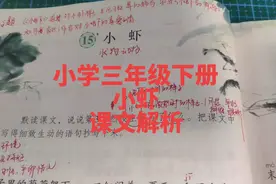 #三年级语文 #小学语文知识点 #语文学习 #小虾 《小虾》课文解析视频封面