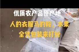 三分人才七分打扮视频封面
