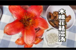 同事说湿气重，煲木棉花汤给她祛湿清热，保证明天倍精神 #抖音美食制作人  #抖音美食 #做菜我是认真的视频封面