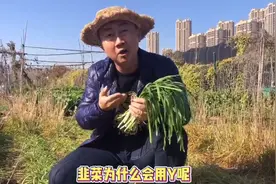 小朱带您了解如何看出来韭菜用了大量药剂呢视频封面