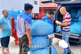 南晓镇团东村｜桑蚕养殖，致富门路  #种桑养蚕 #新农人计划2023视频封面