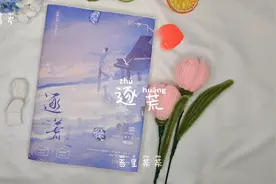 你的眼里有璀璨星光，似那星辰大海。#实体书 #小说 #开箱视频封面