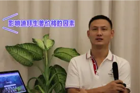 影响迪拜市场生姜价格的因素有哪些#优质农产品 #生姜 #抖音助农视频封面