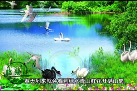 感谢上帝厚爱赐给我们生命，珍惜生命，生命是无价的视频封面