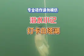 打卡白塔湖，潜水小记#游泳正常穿搭无不良引导视频封面