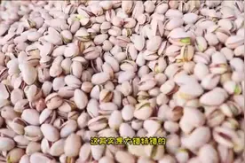 小朱带您了解开心果到底是什么视频封面