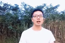 不倒翁姐姐当火炬手被骂?一起看看是怎么回事儿视频封面