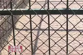 游客动物园拍老虎，不料被喷一身尿，动物园：老虎是在占领地@抖音短视频视频封面