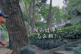 爬山过草丛怎么拍？几招教会你！＃手机摄影＃摄影教学＃拍摄技巧视频封面