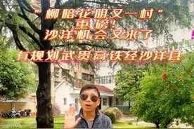 重磅！有规划武贵高铁经沙洋县#武贵高铁#武汉#荆州 #沙洋 #荆楚本地通视频封面