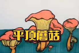 植物创意画100幅之26#创意美术#每日一画#零基础学画画视频封面