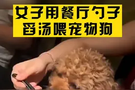 #女子用餐厅勺子舀汤喂宠物狗 店长回应称，，接受了客人道歉，当时未发现此事，用过的餐具已全部扔掉，餐厅全面消杀视频封面