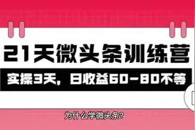 被忽视的微头条，21天微头条训练营,日收益60-80不等
