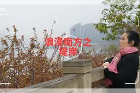 音乐视频诗：巜浪漫南方之堤岸》#爱音乐爱生活 #用音乐治愈心灵视频封面