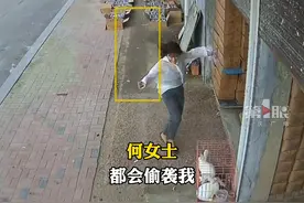 #主人拿走鹅蛋被记仇公鹅追咬大半年 你听过铁锅炖大鹅这道菜吗……视频封面