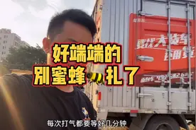 好端端被蜜蜂扎了两下   最尴尬的 屁股还被扎了一针视频封面