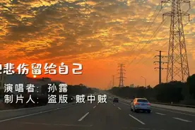 《把悲伤留给自己》演唱者：孙露视频封面