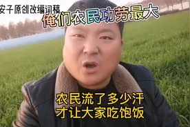 我们农民的功劳最大，当初流了多少汗，才让大家吃饱饭，视频封面