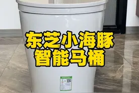 智能马桶里面到底啥样的？拆开看看不就知道了！#东芝小海豚智能马桶 #东芝海系列智能马桶视频封面