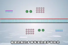 多酶恒温快速核酸扩增技术（MIRA）自主研发源于安普未来视频封面