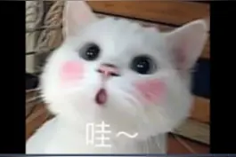 京津冀联合带量采购，北京开始报量！#医药代表 #带量采购视频封面