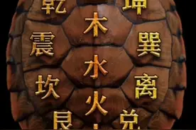 古人占卜为什么用龟壳视频封面