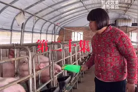 第二十集（杨医生归乡王姨拉裤裆）视频封面