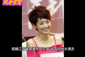 马伊琍个人简介视频封面