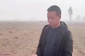 #河南巴旦木生态农业 巴旦木树苗冬栽视频教程已上线视频封面