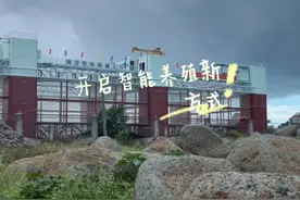 海威2号智能养殖平台.打造湛江金鲳鱼之都. 这么一个巨无霸平台需要投入多少呢？能养多少吨鱼呢？#抖音助农 #新农人计划2023 #三农 #振兴乡村 #记录真实生活视频封面
