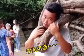 #男子在景区拍照将头伸树杈被卡住 ，没想到自己竟然成了“景点”！啊~多么痛的领悟！视频封面