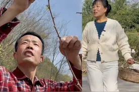 冬去春来春种秋收，又到了一年一度的春播农忙时节，阿旺忙中抽空，还给我掐了我爱吃的杨槐芽。#抖音记录农村生活 #三农 #乡村英才计划 #农村原创视频 #生态陇南康养胜地视频封面