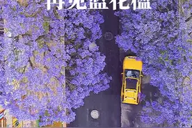 音乐响起，已泪盈满眶，See You Again 从2020到2021 #蓝花楹  #昆明城市风景  #食亦家视频封面