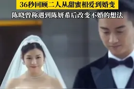 #36秒回顾陈晓陈妍希9年情史 二人从甜蜜恩爱到婚变传闻不断，令人唏嘘#陈晓陈妍希离婚  #陈晓陈妍希 #离婚 #陈晓陈妍希婚变风波视频封面