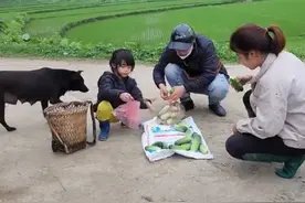 小林丹，一个人卖黄瓜，忙活一天，回家还给小狗洗澡！#越南生活视频封面