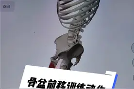 骨盆前移 小腹突出 我们需要做的是恢复重心转移的能力#健身干货 #体态纠正 #骨盆前移 #小腹突出
