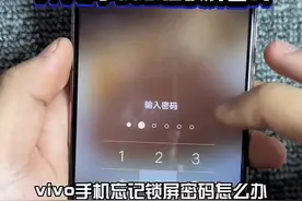vivo 手机忘记锁屏密码怎么办？