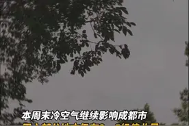 #成都天气# 本周末冷飕飕 #成都下周气温逐步升#（成都气象）@抖音短视频视频封面