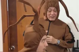 给大家介绍一下我们广东的蟑螂