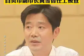 #四川自贡 市政府党组成员、副市长黄雪智被查视频封面