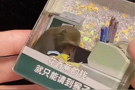 别外放……#流麻#发疯日常 #吗喽唉表情包视频封面