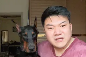 咱们听劝，不能养！（我99年） #杜宾 #大型犬的温柔 #萌宠 #文明养犬从我做起 #科学养宠攻略