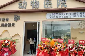 三嫂跟朋友在县城开了一家动物医院，这行业可以吗？这回下血本了视频封面