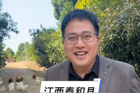 你们知道江西吉安泰和县有多牛吗？一个县城又有机场又有高铁，还有四条高速，两条国道，还有赣江，妥妥的经济强县！泰和乌鸡享誉全球，这里是中国乌鸡发源地！太牛了！#魔都杨哥#泰和乌鸡视频封面