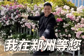 路边的墙上花也为你们敞开#郑州蔷薇花墙 来吧我们一起打卡#郑州五一好去处 #一道美丽的风景线 美丽的风景都在路上继续往前看#我们总要学会往前看 #花都开了你来不来视频封面