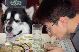30岁全职男保姆的带娃vlog #阿拉斯加 #vlog萌宠日常 #铲屎官日记 #猫狗双全 #vlog视频封面