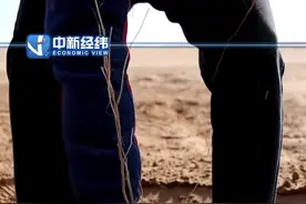 让我看看是谁把你们#蚂蚁森林 里的#小树 种下去了？视频封面