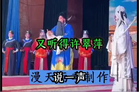 #豫剧经典唱段#下南京#好戏继续#许翠萍刘墉对唱视频封面