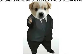 有偿陪侍的认定标准的法律依据视频封面