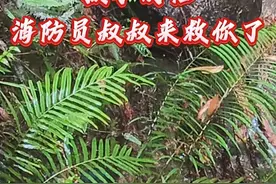 孩子别怕，消防员叔叔来救你了。 #消防救援 #蓝朋友的守护 #做你的消防守护者视频封面